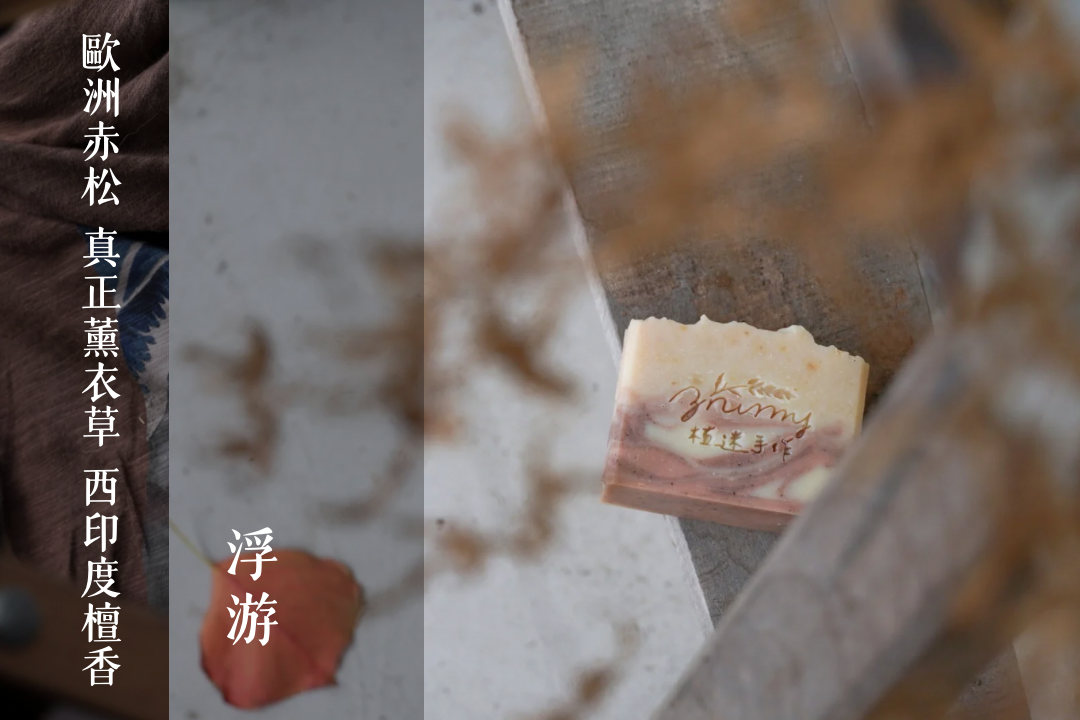 髮皂｜蘆薈生薑系列