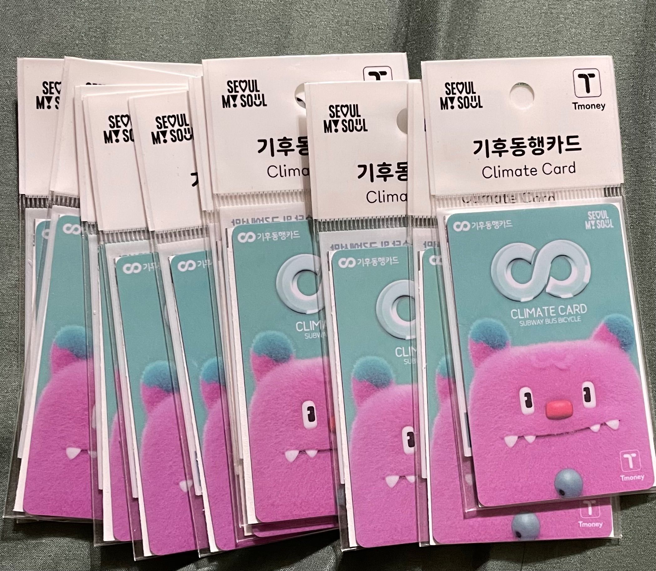韓國交通卡 氣候卡 同行卡