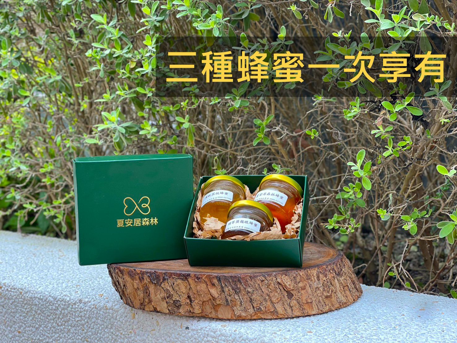 【夏安居森林農場】蜂蜜饗宴（隨機三種口味：頭等龍眼蜂蜜、頂級荔枝蜂蜜、夏安居森林蜜）