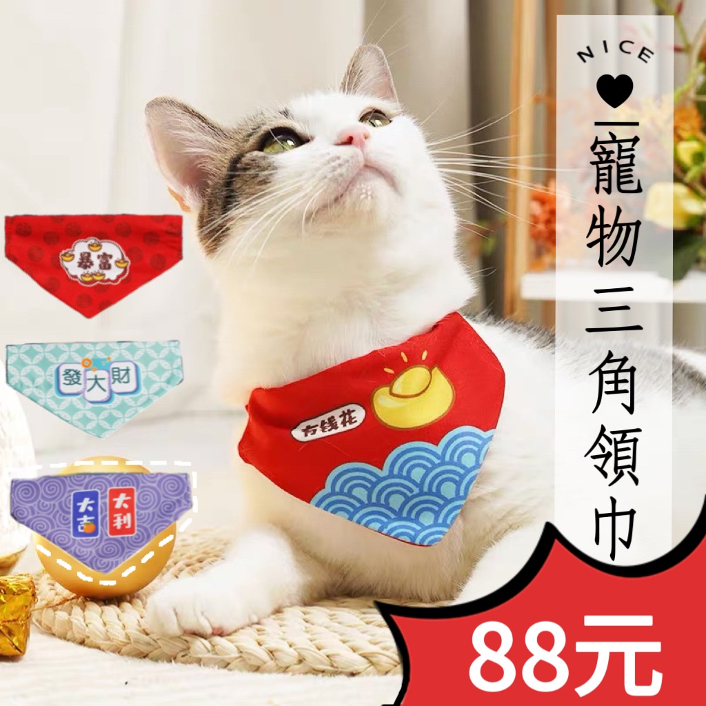 新年快樂🧨寵物三角領巾