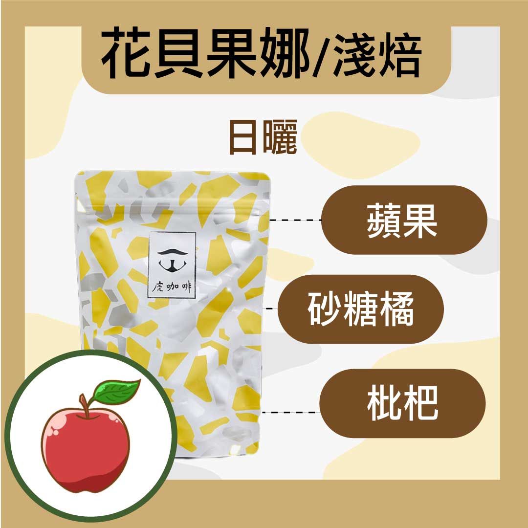 西達摩 花貝果娜 日曬