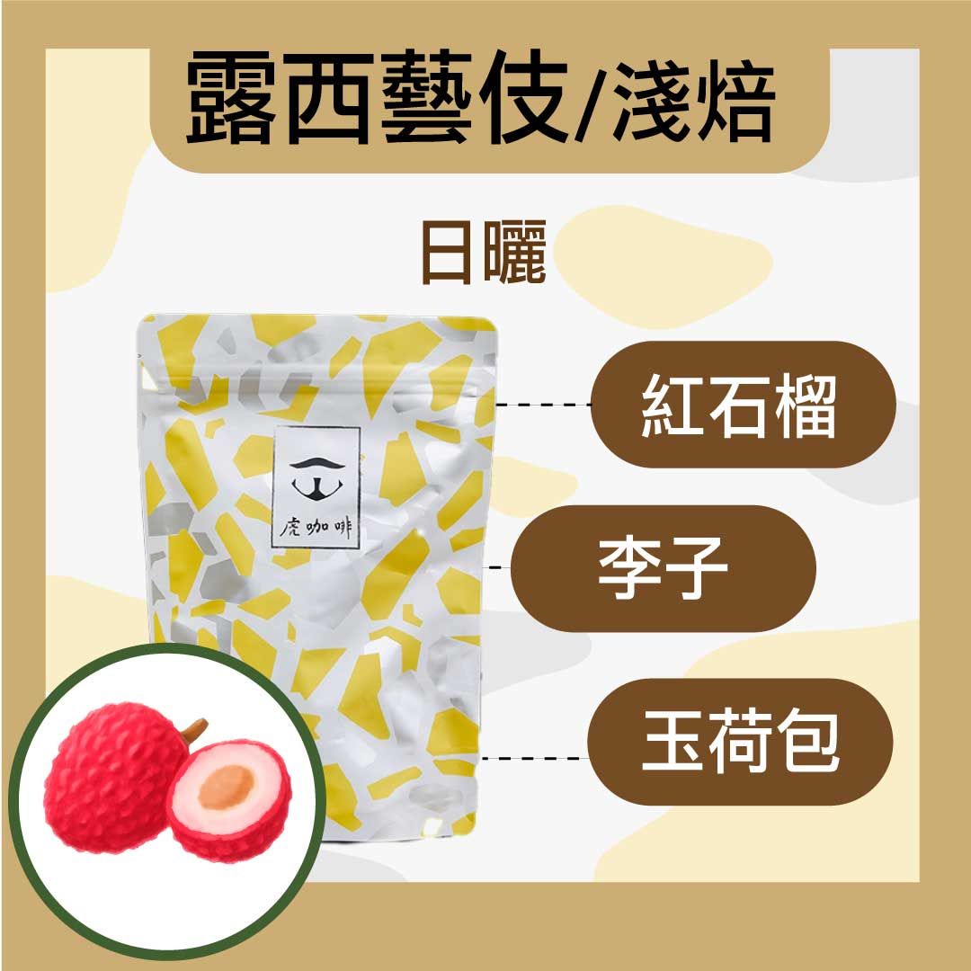 衣索比亞 班奇馬吉 露西藝伎 日曬
