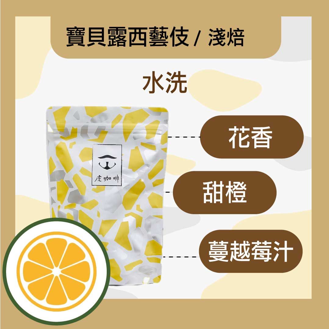 衣索比亞 班奇馬吉 寶貝露西藝伎 水洗