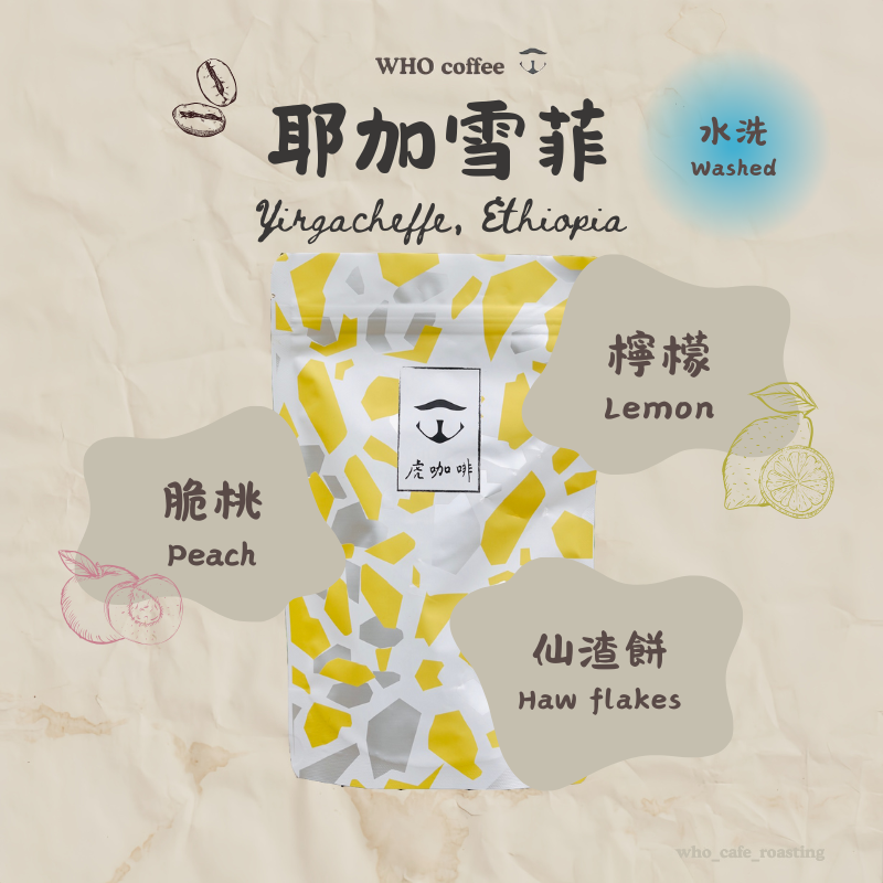 衣索比亞 耶加雪菲 風之谷 水洗