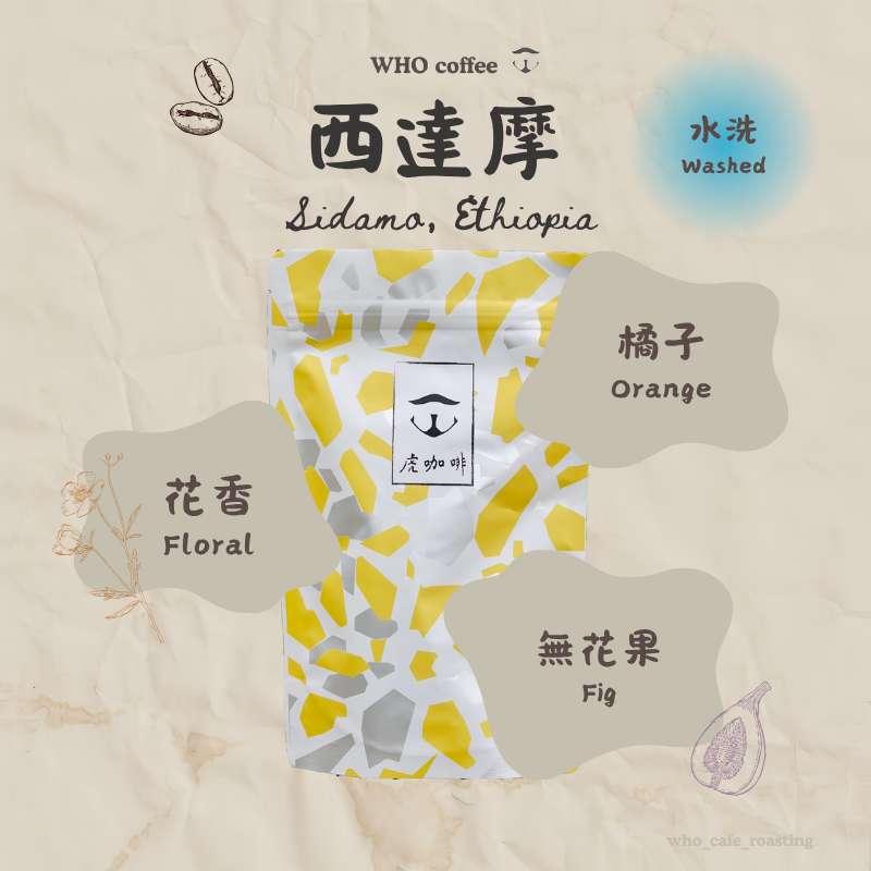 西達摩 獅子王 水洗