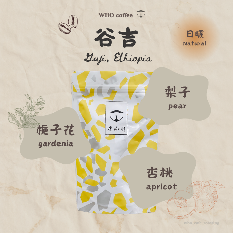 衣索比亞 谷吉 芭絲特藝伎 日曬