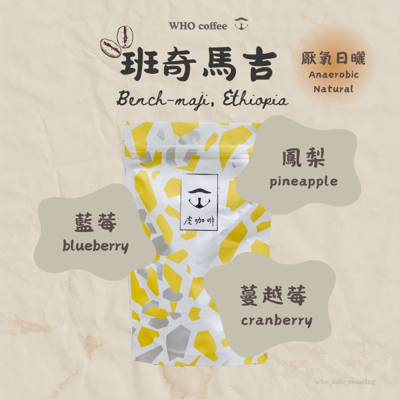 衣索比亞 班奇馬吉 露西藝伎 厭氧日曬