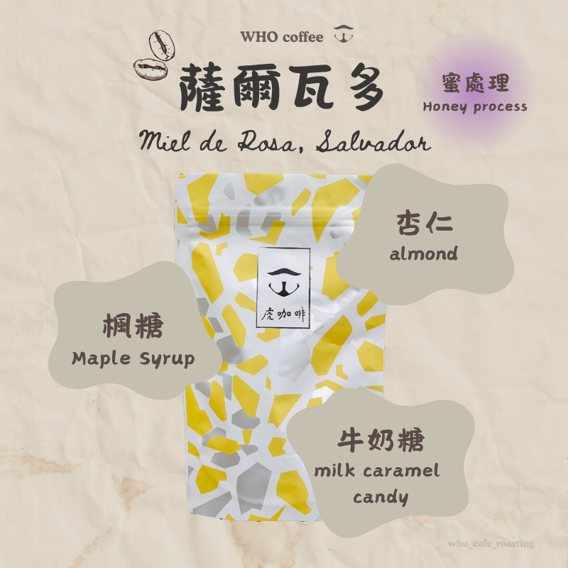薩爾瓦多 甜心寶貝 蜜處理 半磅咖啡豆