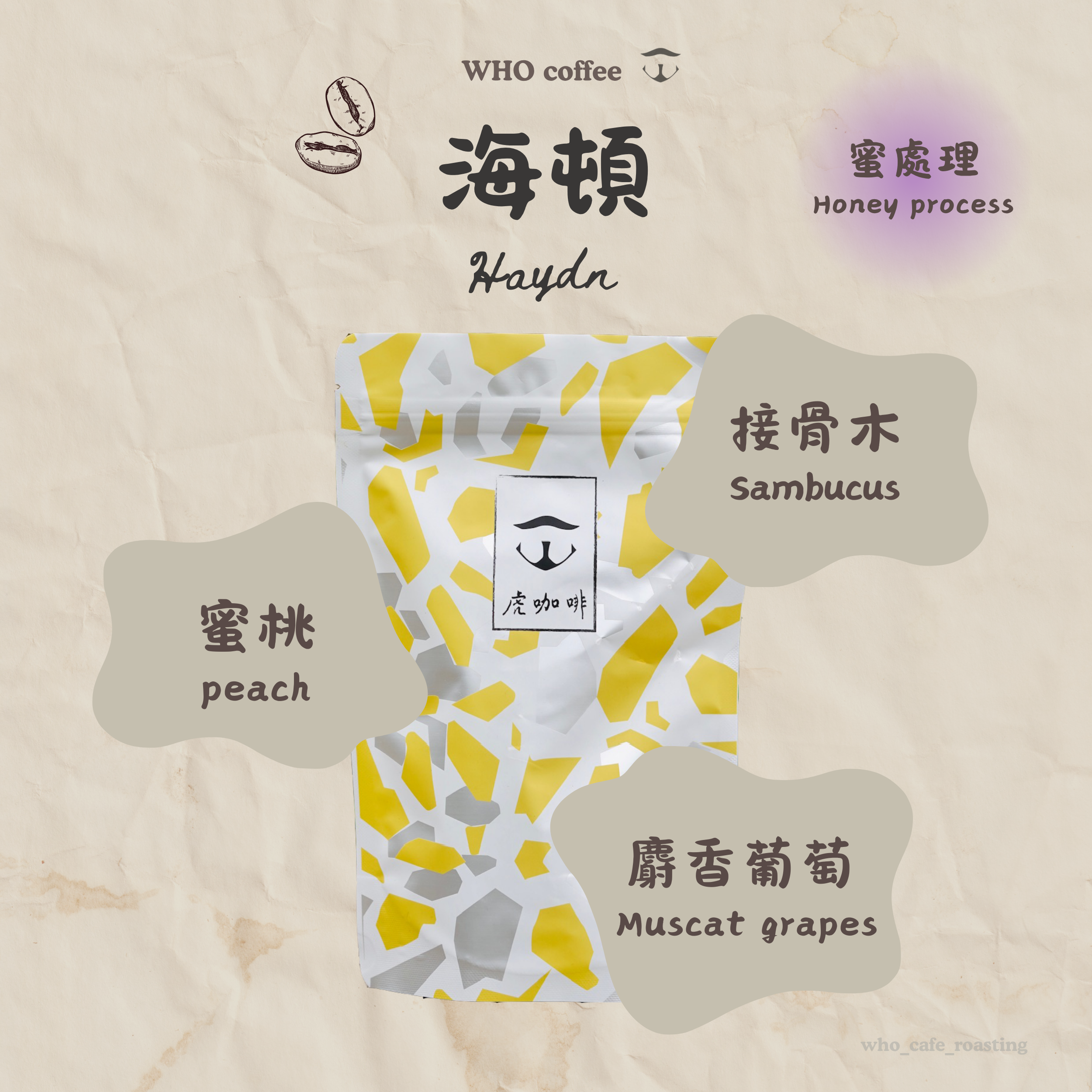 哥斯大黎加 海頓 葡萄乾蜜處理 半磅咖啡豆