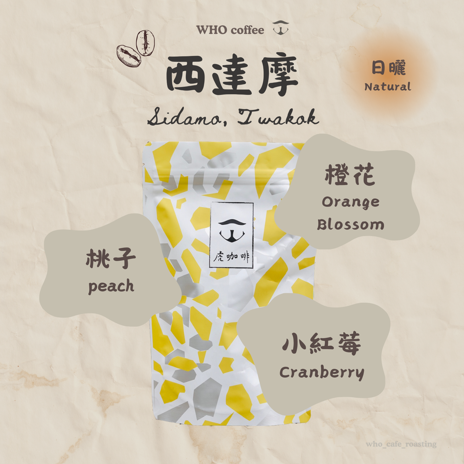 衣索比亞 西達摩 桃可可 日曬