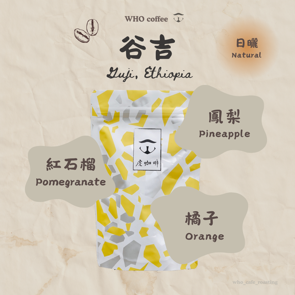 衣索比亞 谷吉 圖瑞波娃 日曬