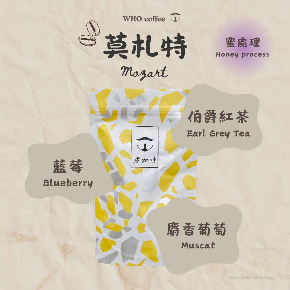哥斯大黎加 莫札特 葡萄乾蜜處理 半磅咖啡豆
