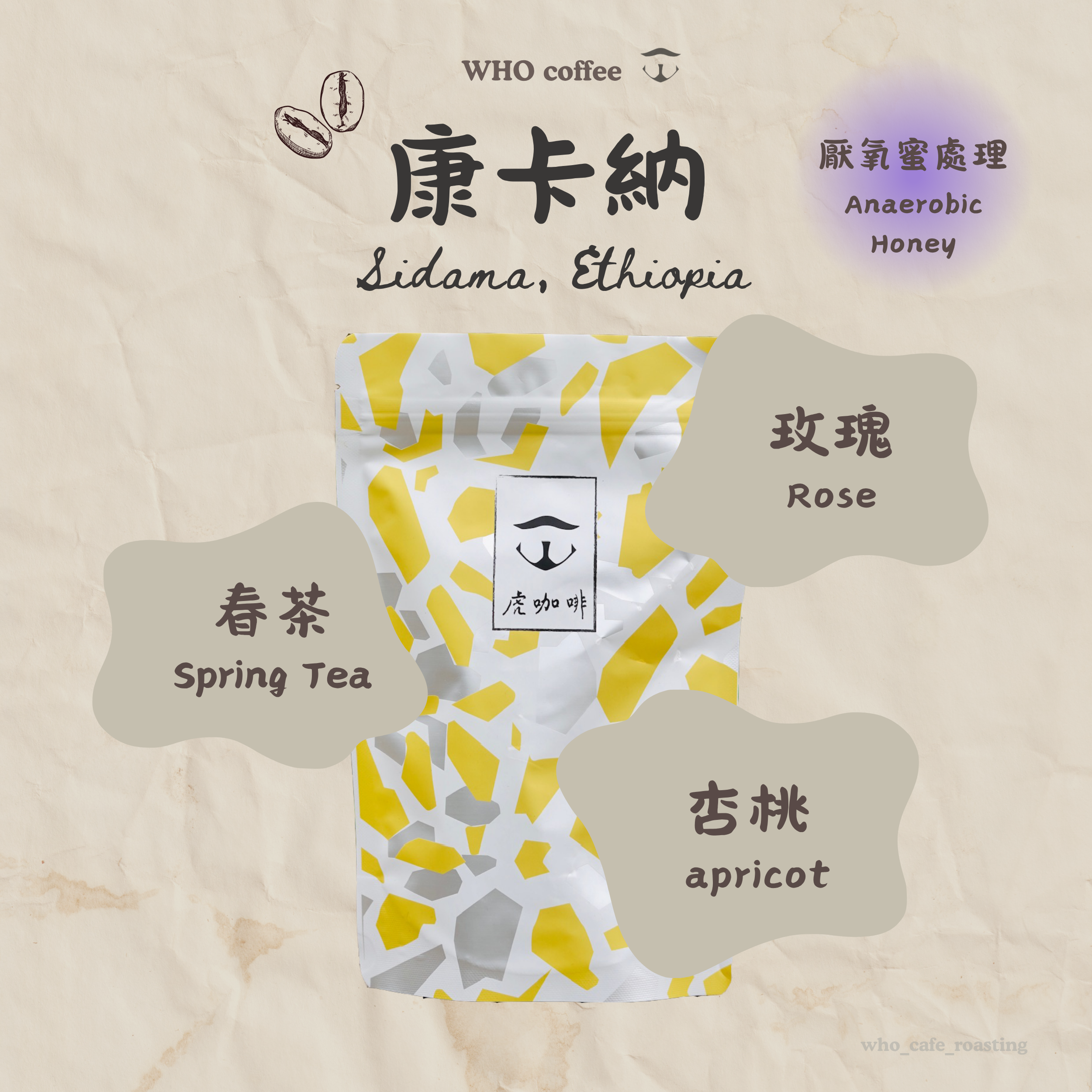 衣索比亞 西達摩 康卡納 雙重厭氧蜜處理
