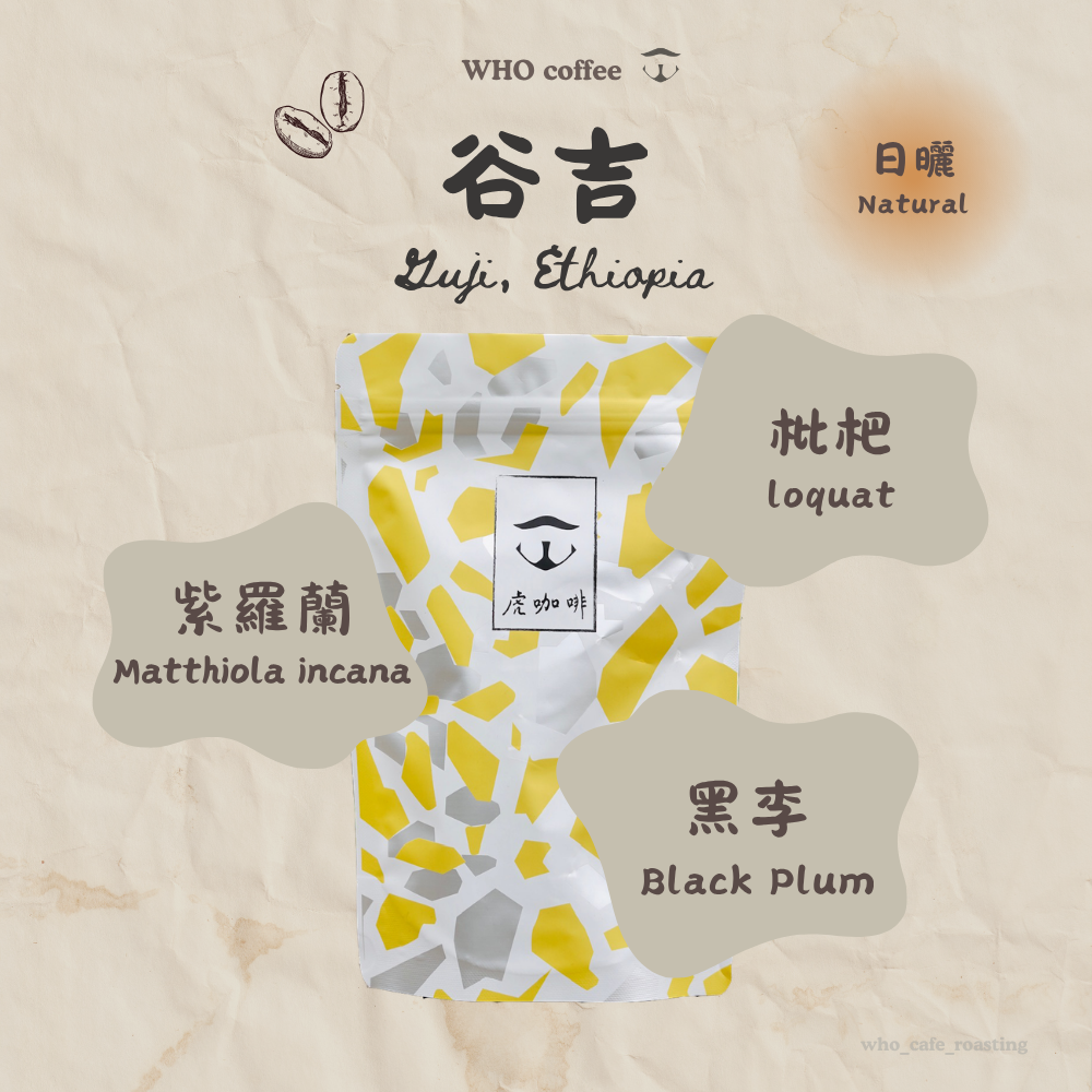 衣索比亞 谷吉 布穀雪伊莎 日曬