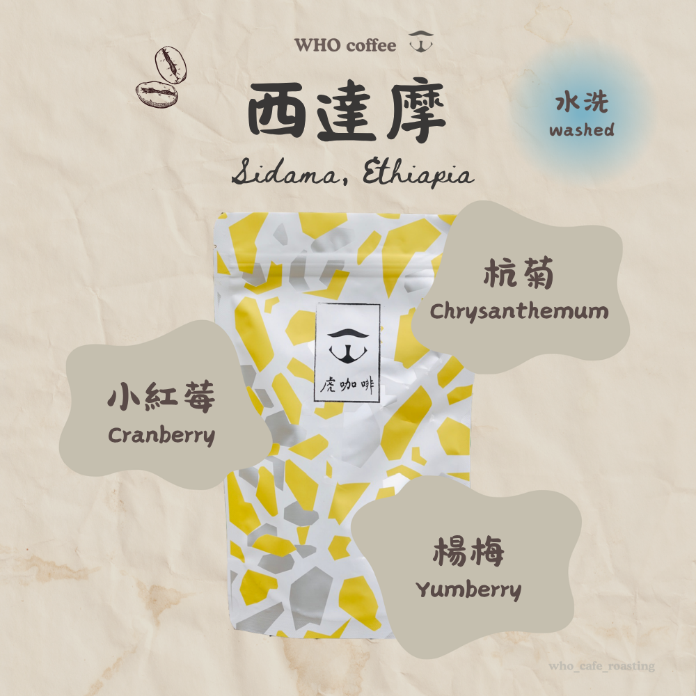 衣索比亞 西達摩 阿貝果納 水洗 半磅咖啡豆