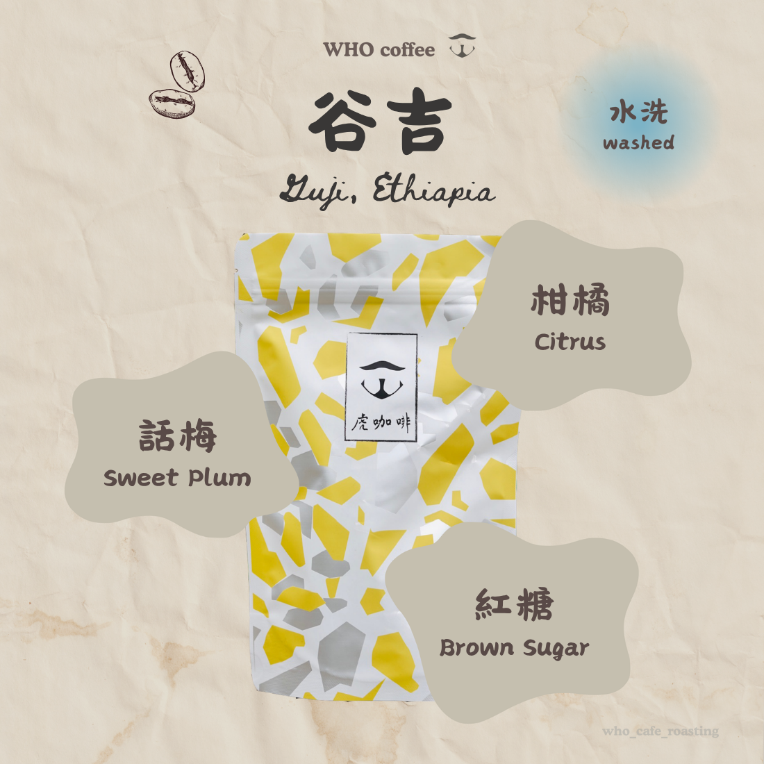 衣索比亞 谷吉 啵啵莎 水洗