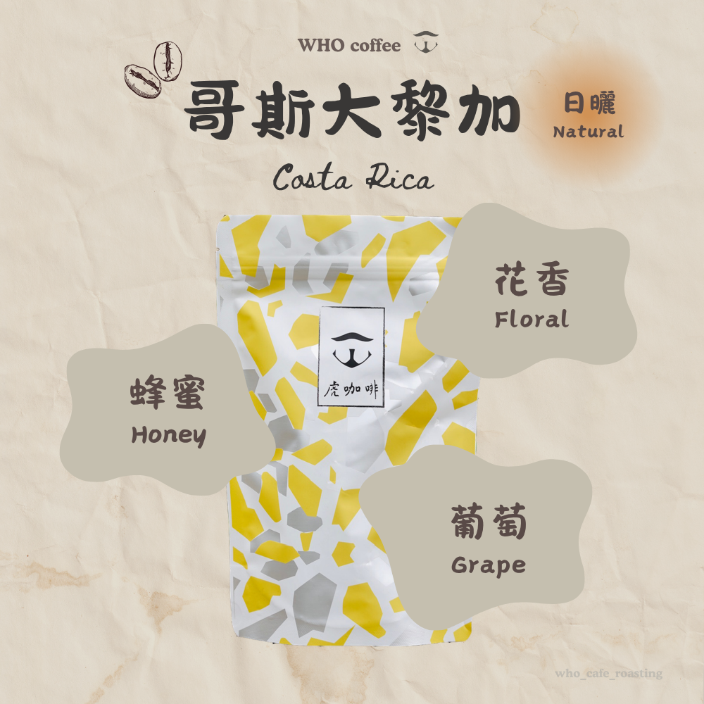 哥斯大黎加 科佩 日曬 半磅咖啡豆
