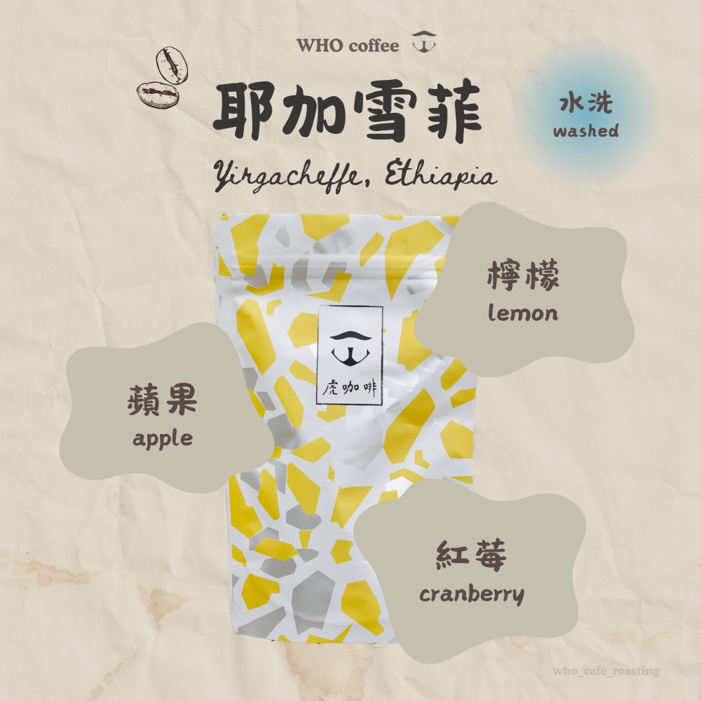 衣索比亞 耶加雪菲 曼陀羅 水洗