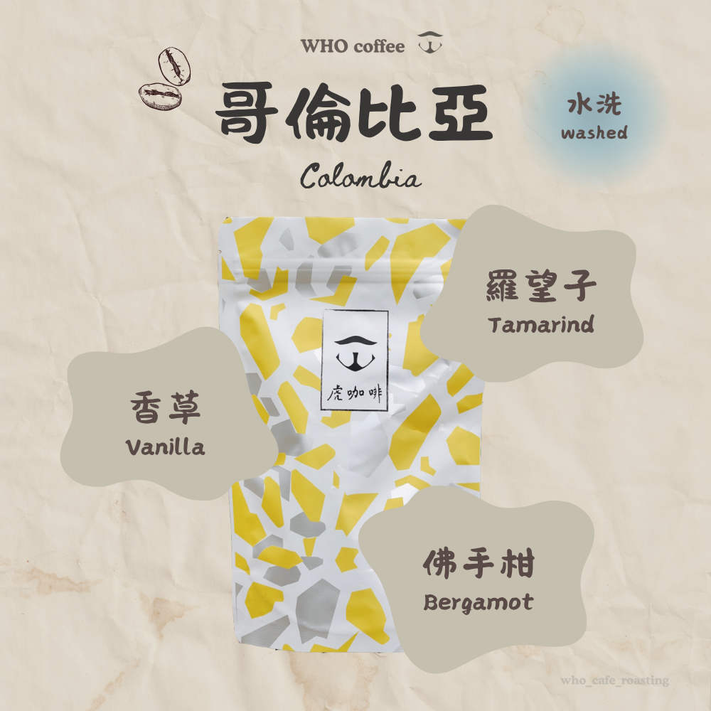 花境藝伎 哥倫比亞 水洗