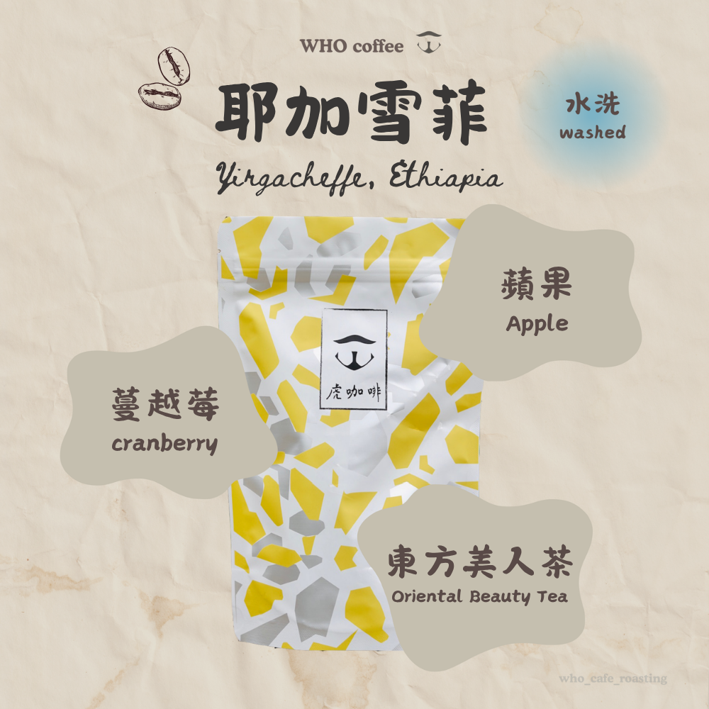 衣索比亞 耶加雪菲 天使藝伎 水洗 半磅咖啡豆