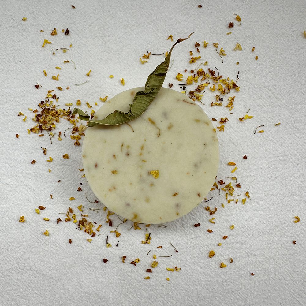 桂公子小熊沐浴餅