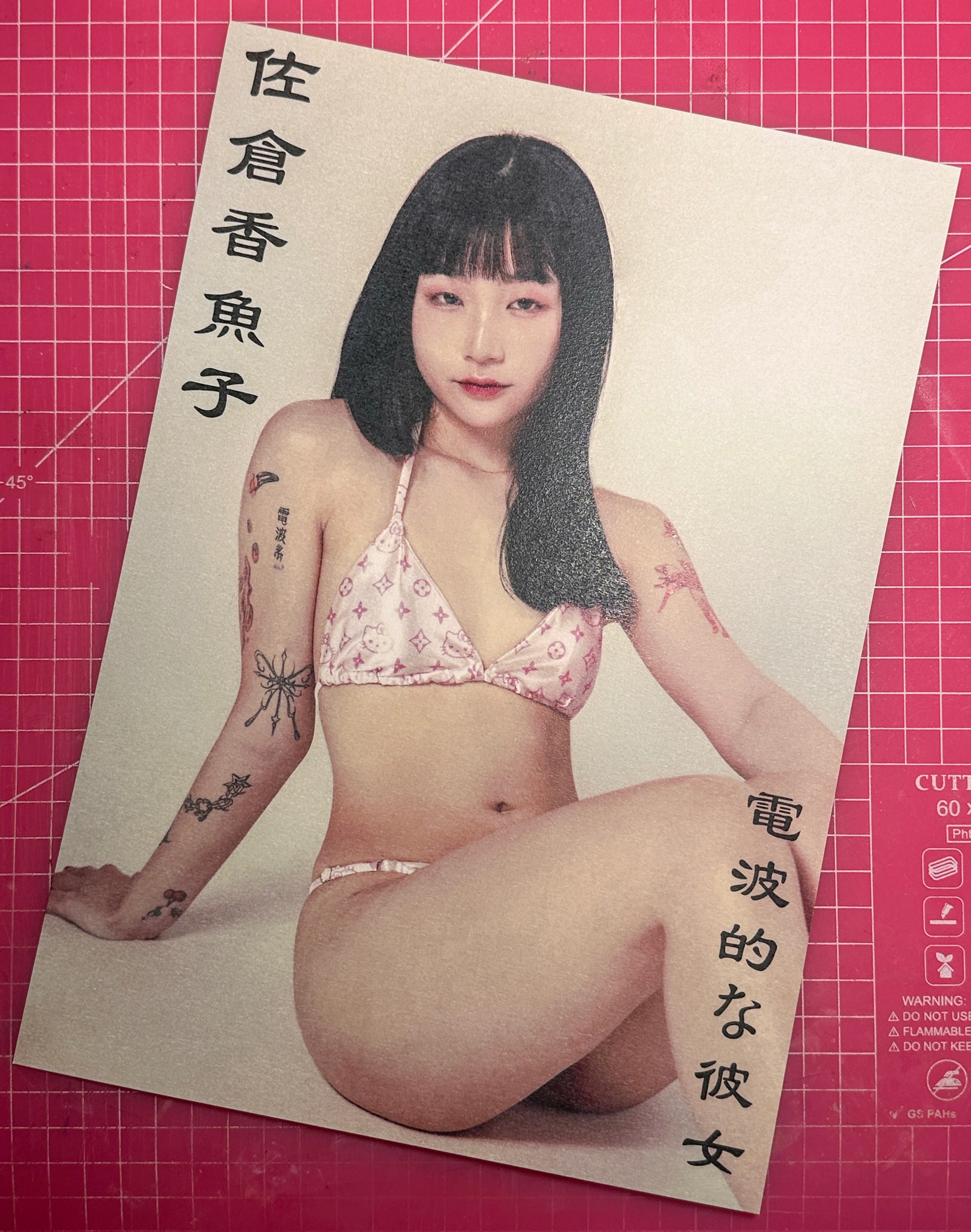 🌺 復古泳裝辣妹海報 🌺