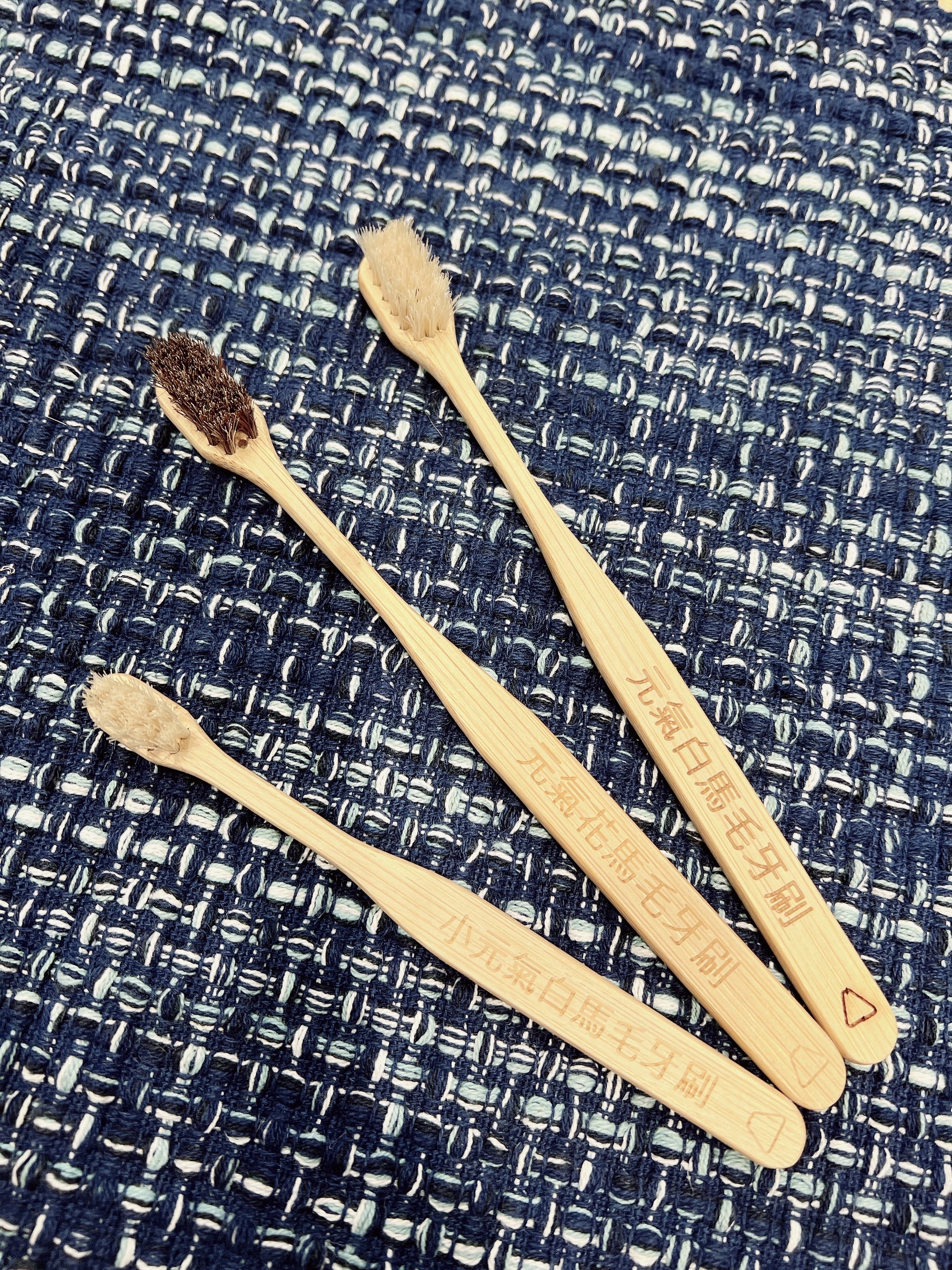 可自然分解的馬毛牙刷