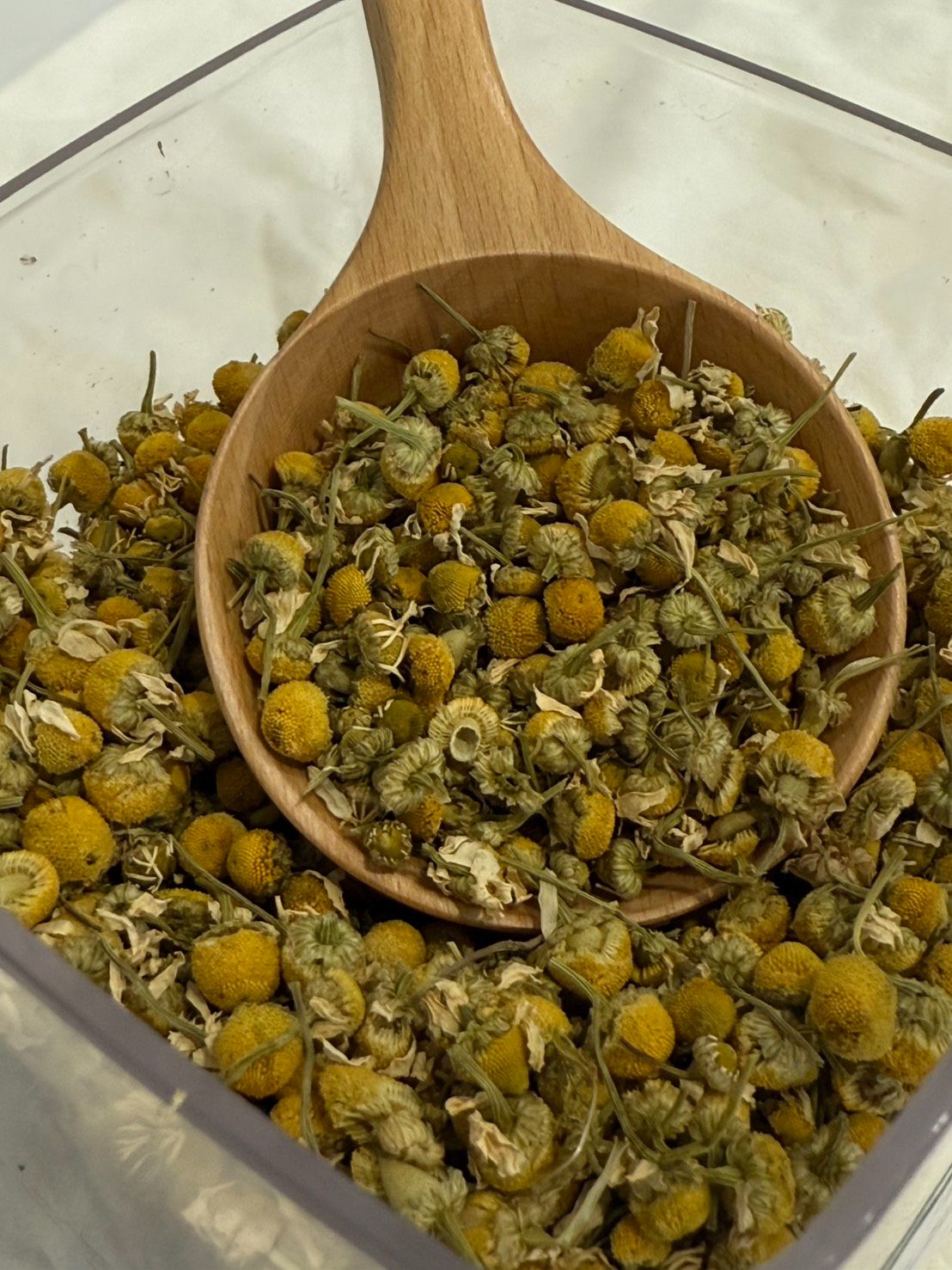 洋甘菊花茶