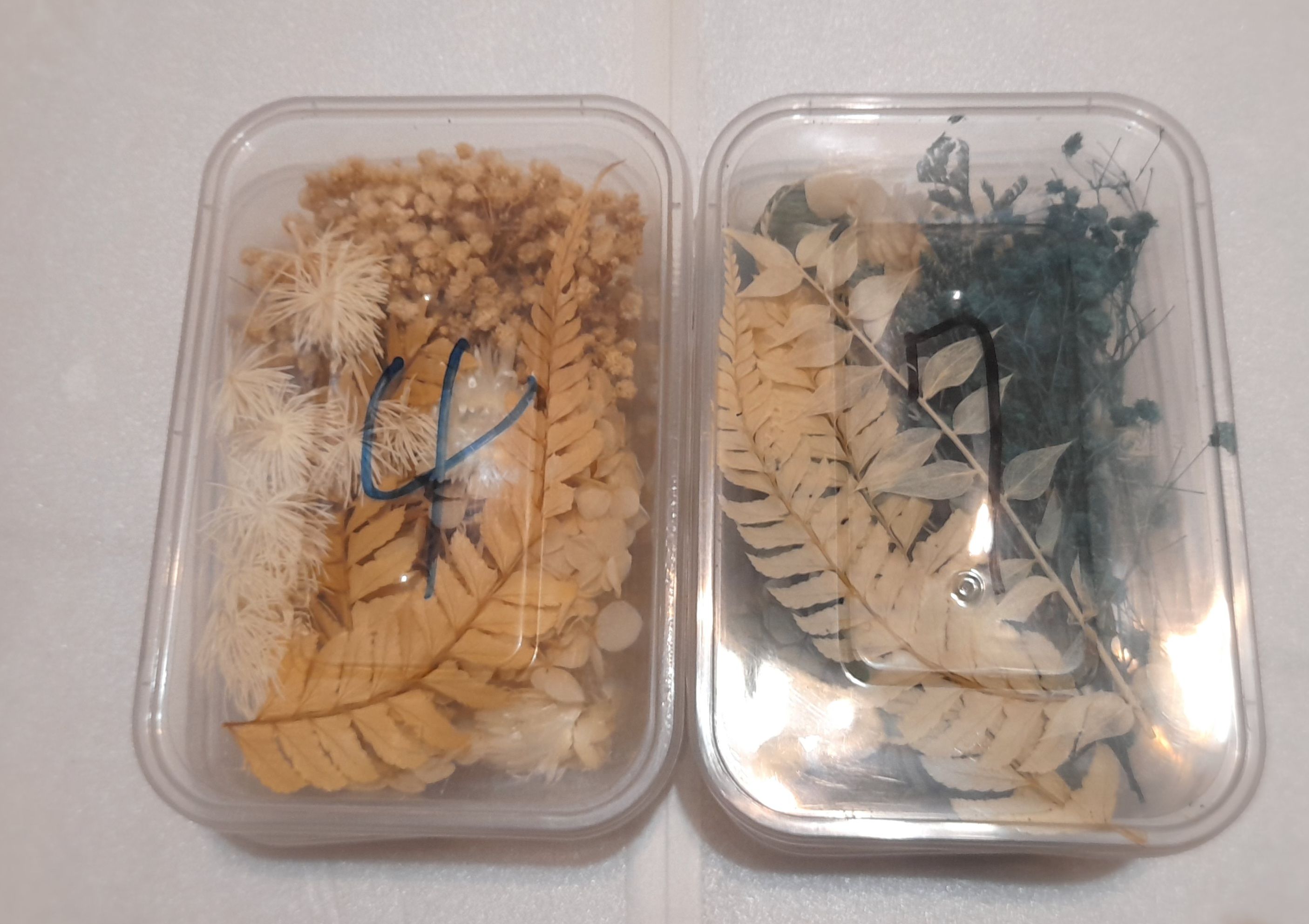 永生花、色粉和色精組