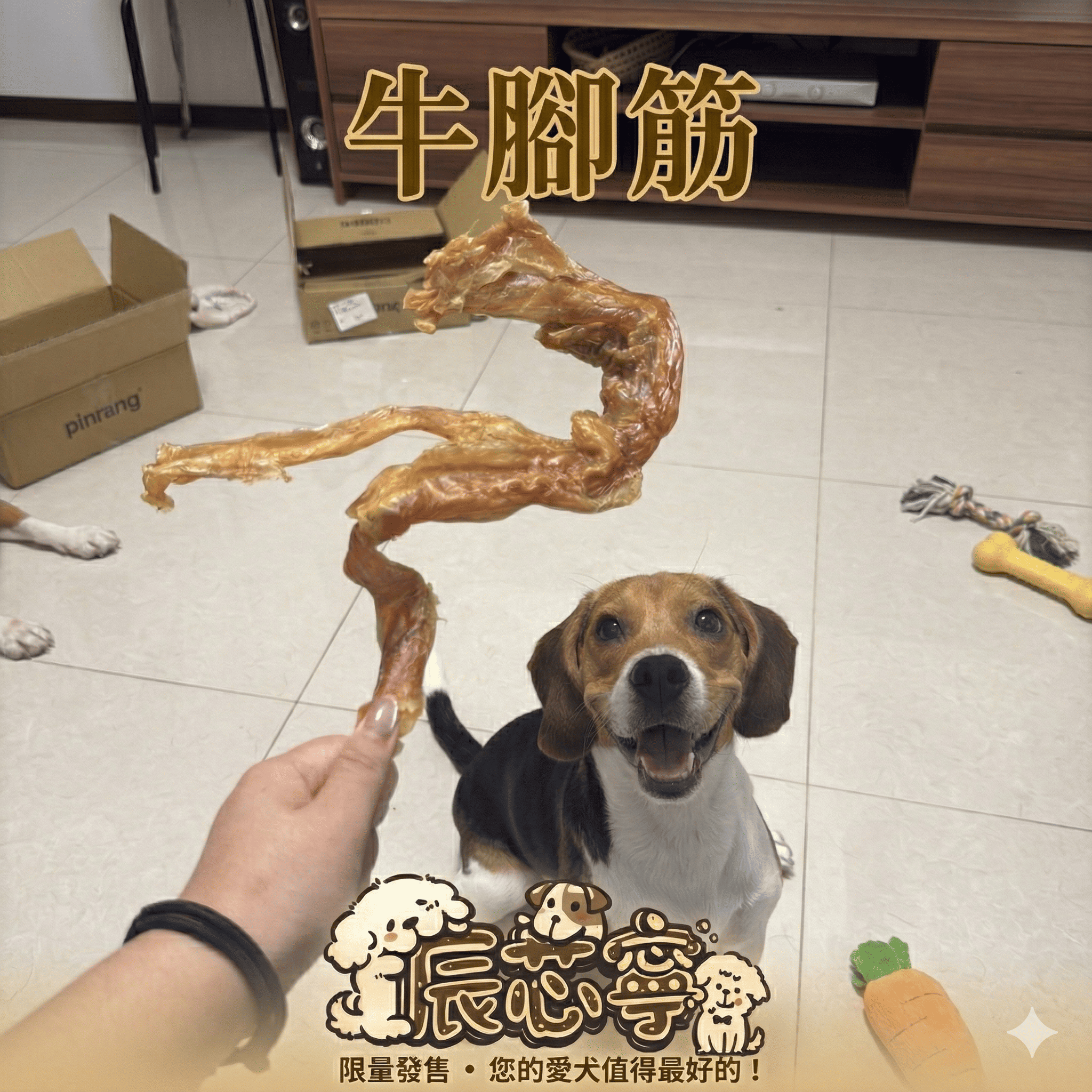 耐咬-牛腳筋（因大小不一，金額採用多退制，隨貨退）