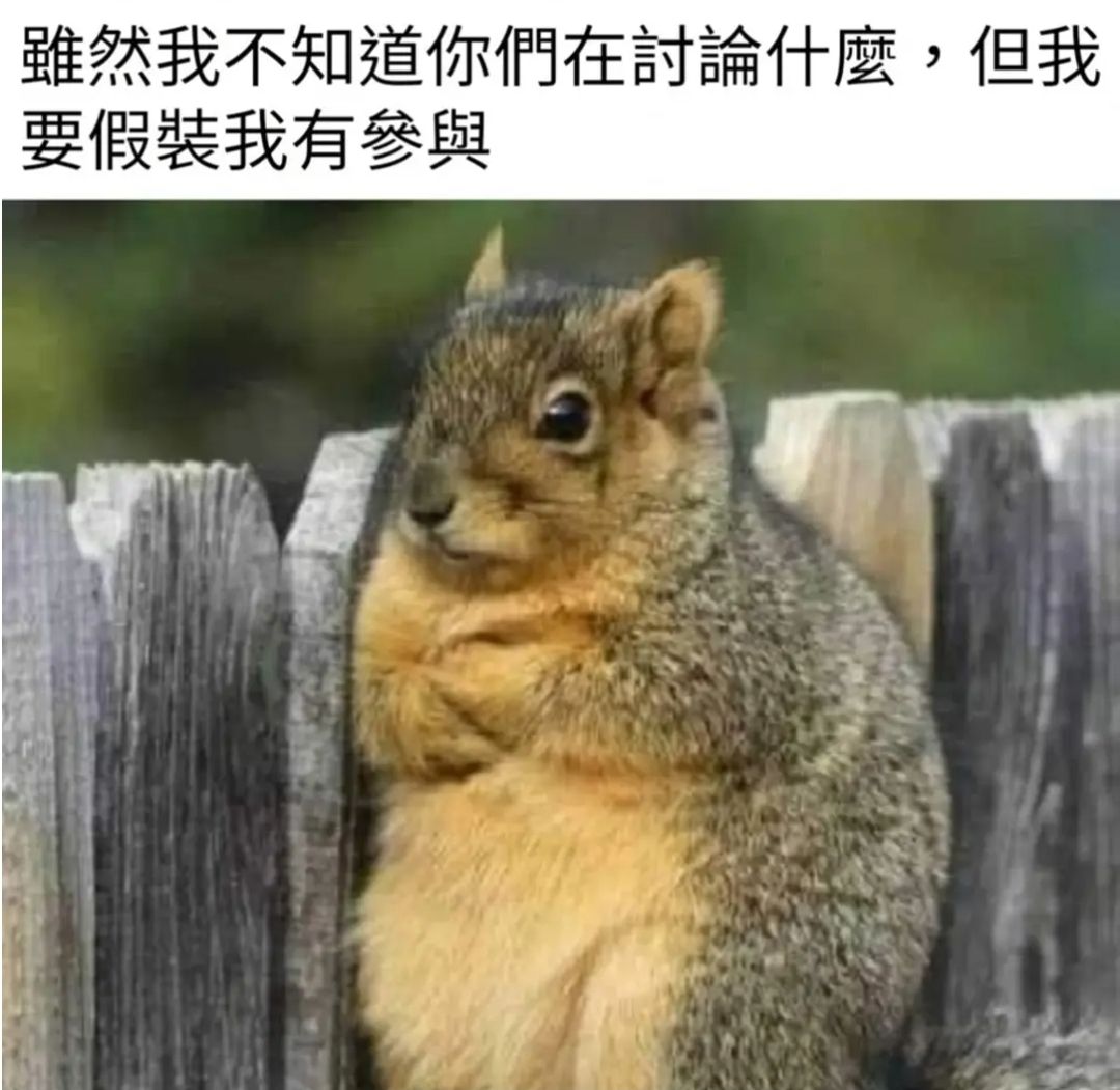 獵人背影系列