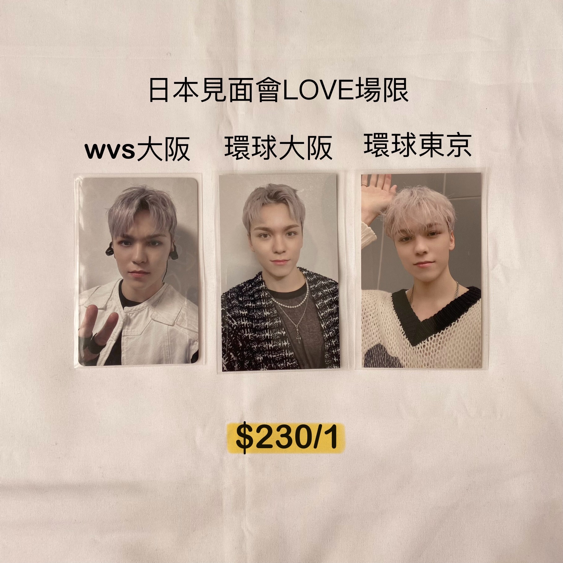 日本見面會LOVE場限-Vernon