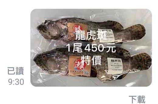龍虎斑