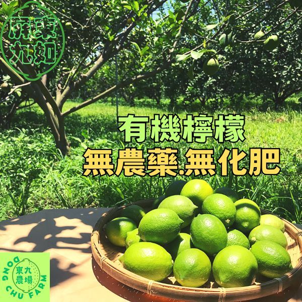 屏東九如 自產自銷 當日現採 小蜜蜂授粉 東九農場有機檸檬