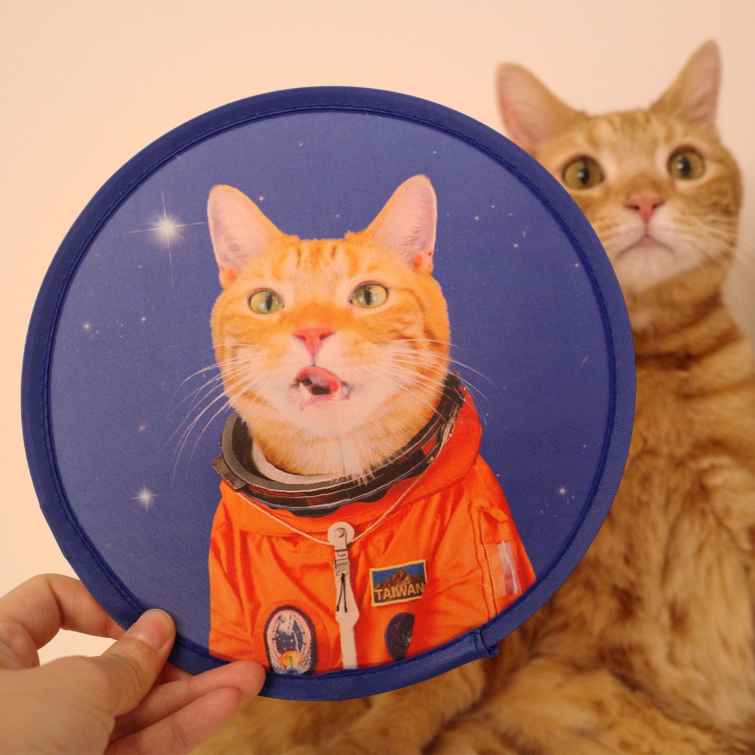 ［宇宙貓咪］品牌摺疊扇 手扇 折疊扇 飛盤扇