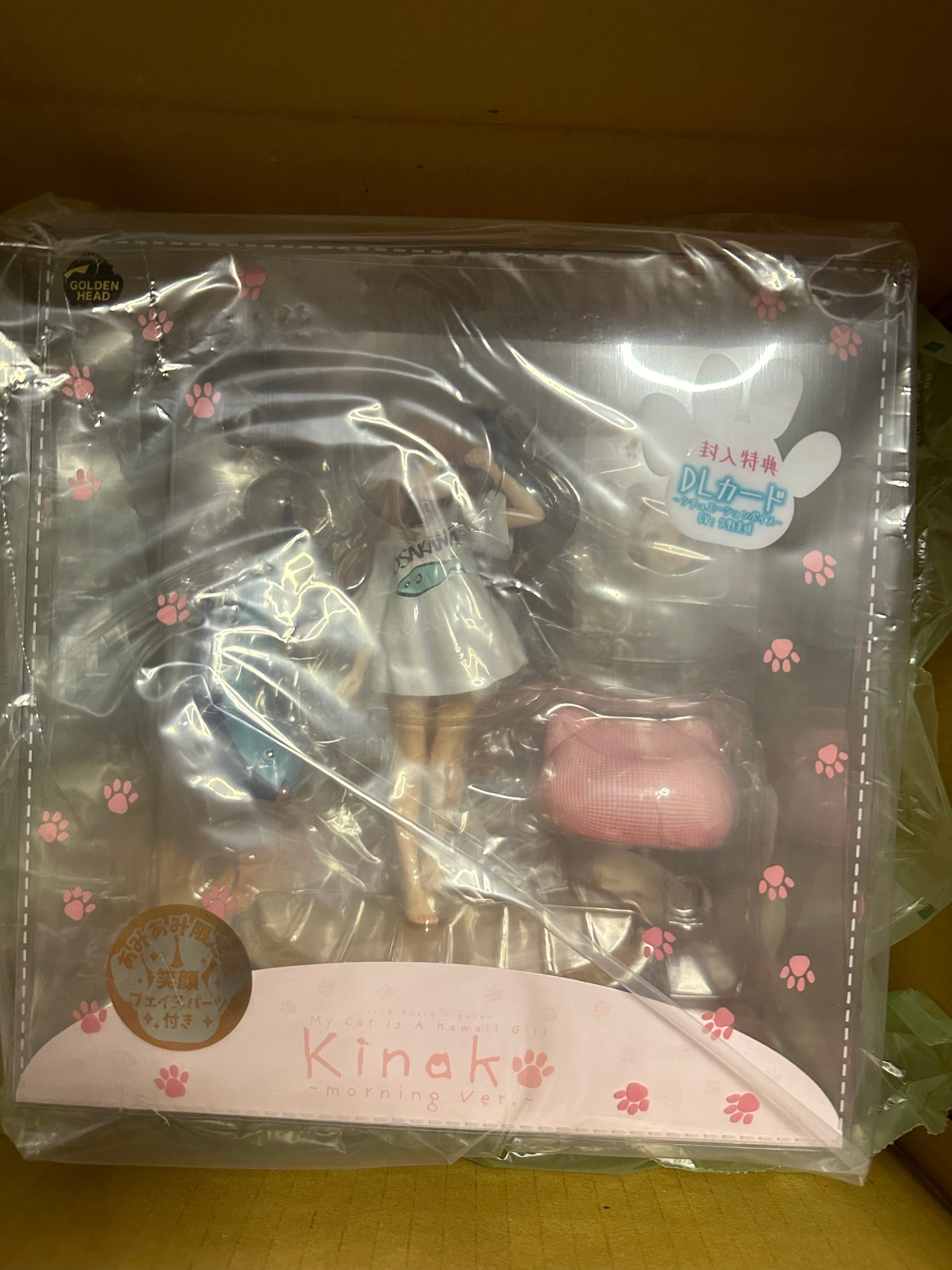 GOLDEN HEAD 黃豆粉 早安Ver 40原 限定版 附特典