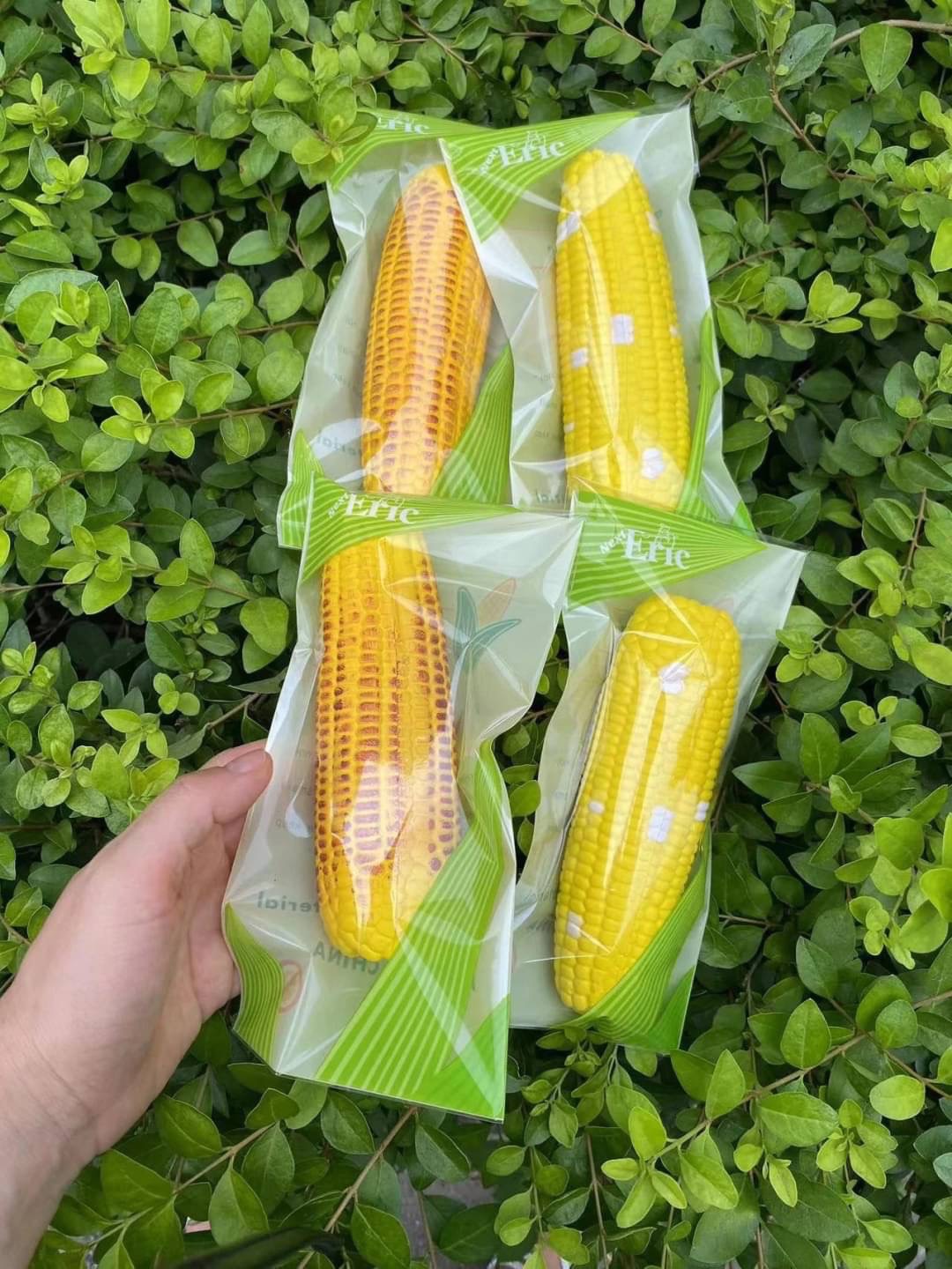Eric仿真玉米
