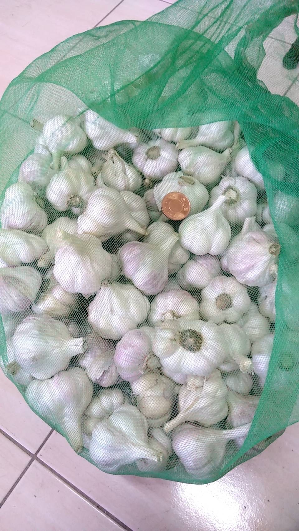 中大球（瓣中大）