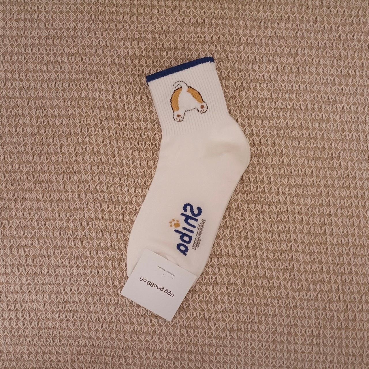 柴犬屁屁中筒襪