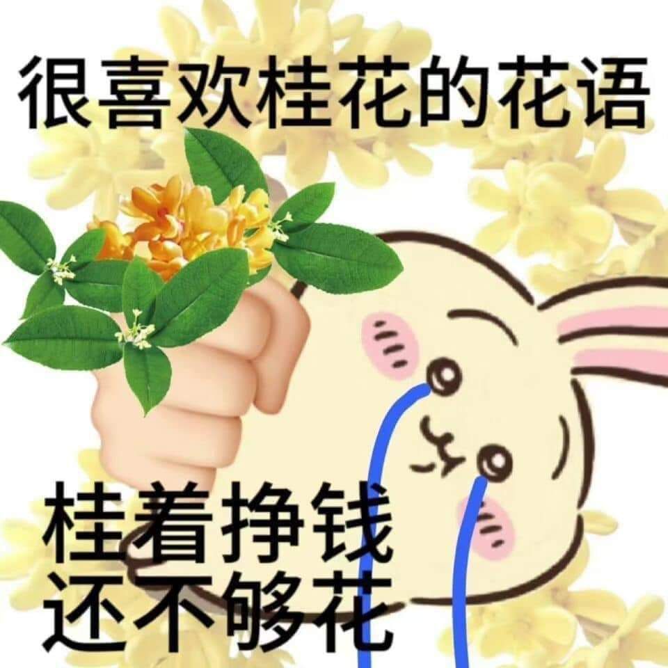 賣場內有其他吉依卡哇歡迎參觀選購（內有網址可複製）