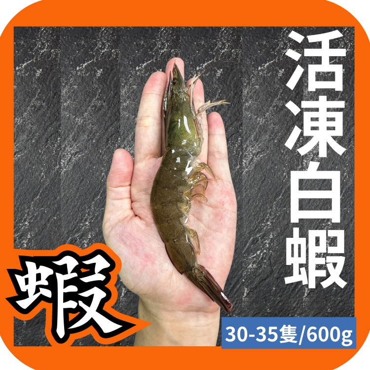 台灣活凍白蝦