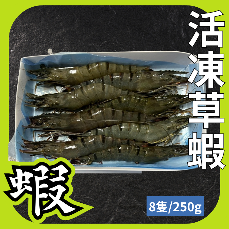8P活凍草蝦