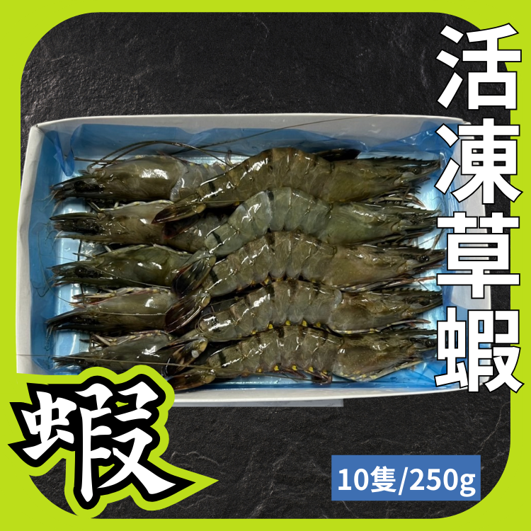 10P活凍草蝦