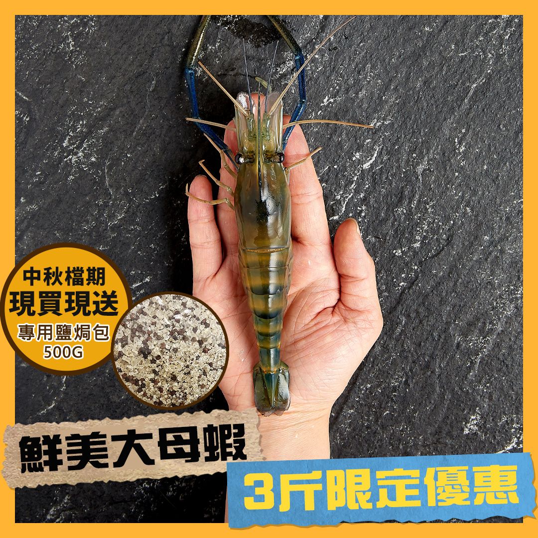 【中秋限定】3斤大母蝦+另贈鹽焗500g 1斤約11~14隻