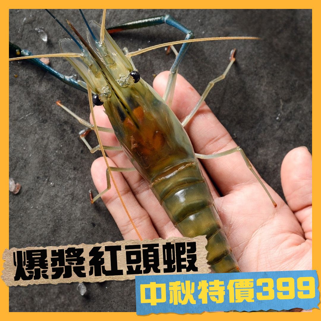 【中秋限定】爆漿紅頭蝦優惠399 1斤約12~15隻