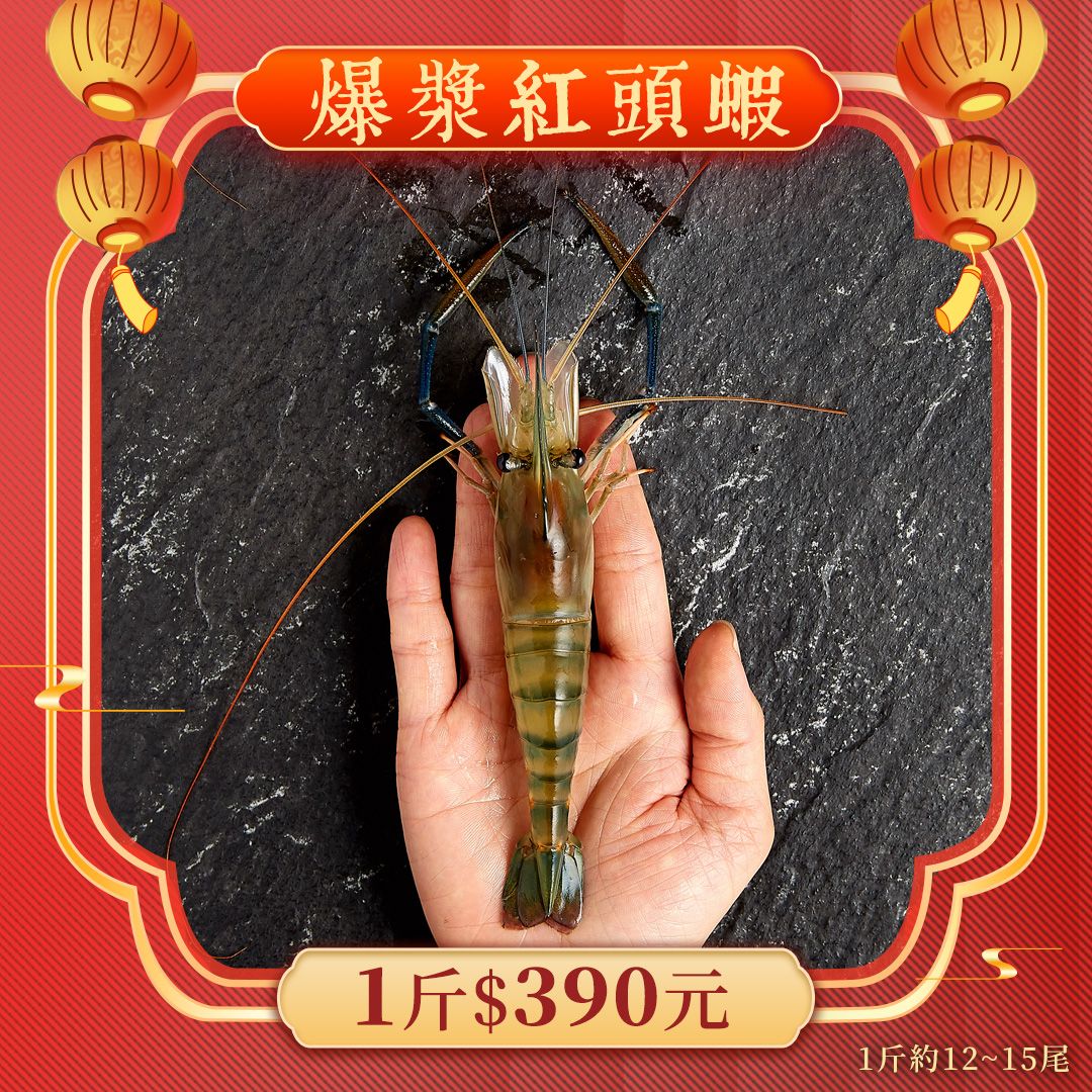 爆漿紅頭蝦【新年最強優惠】 1斤390元 1斤約12~15隻