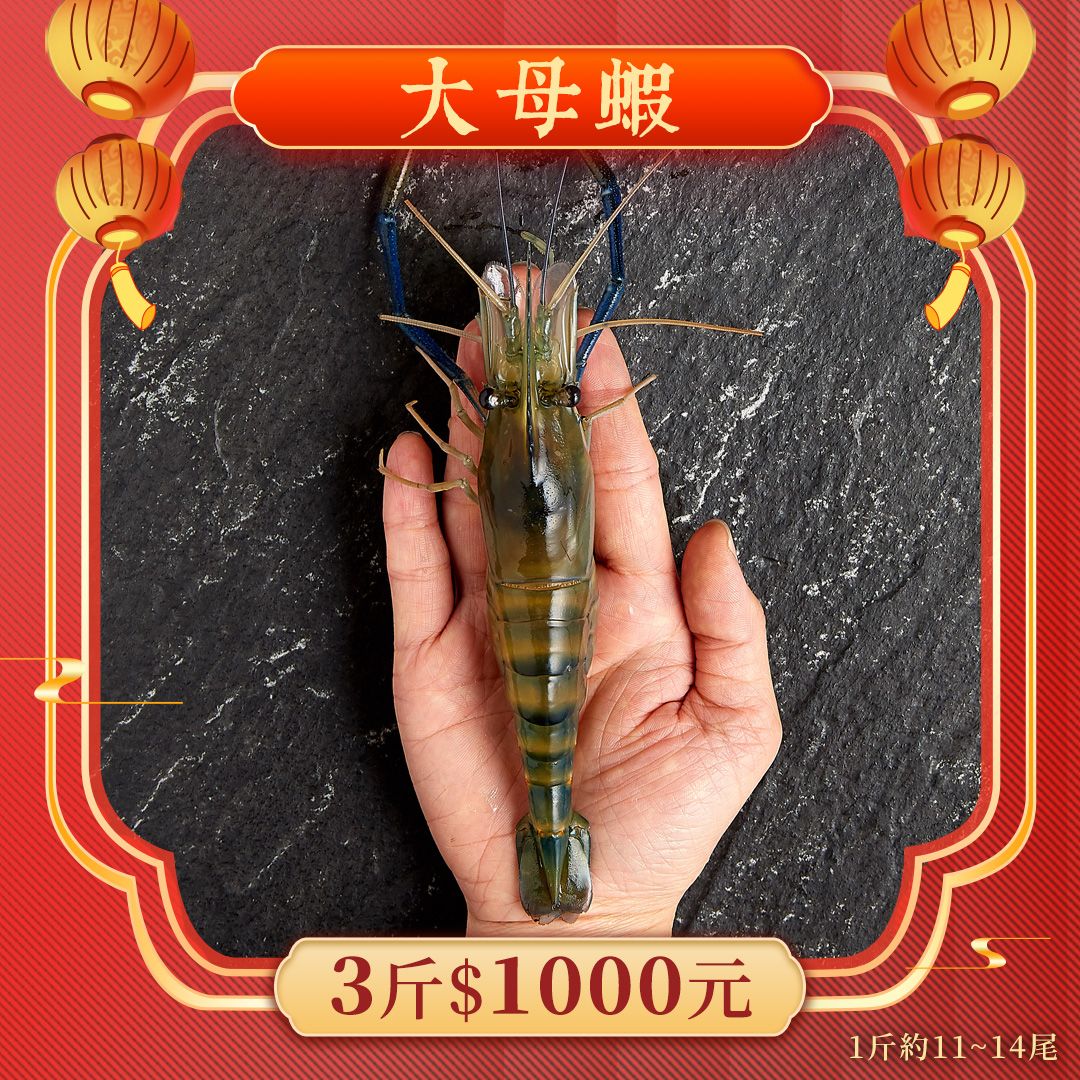 大母蝦超殺優惠組-3斤只要1000元