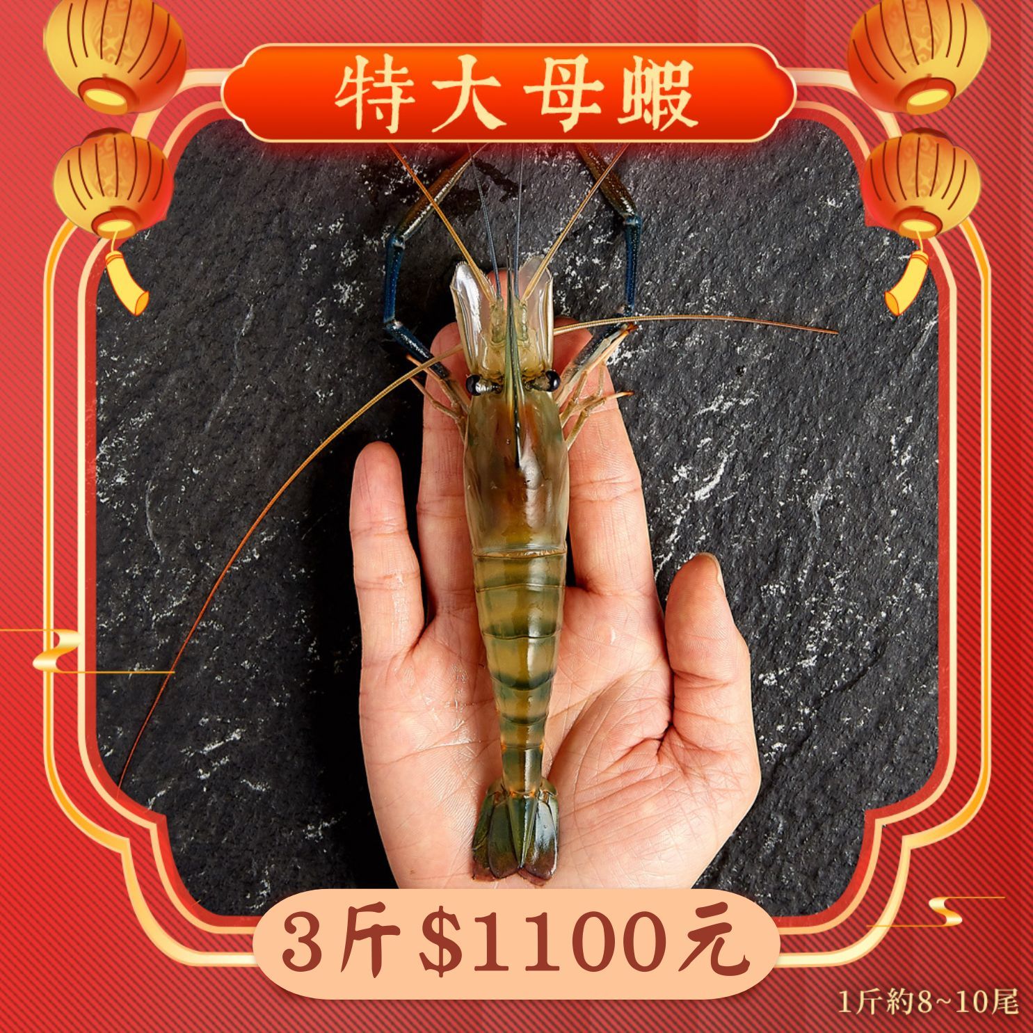 【限量】特大母蝦 3斤1100元 1斤約8~10隻