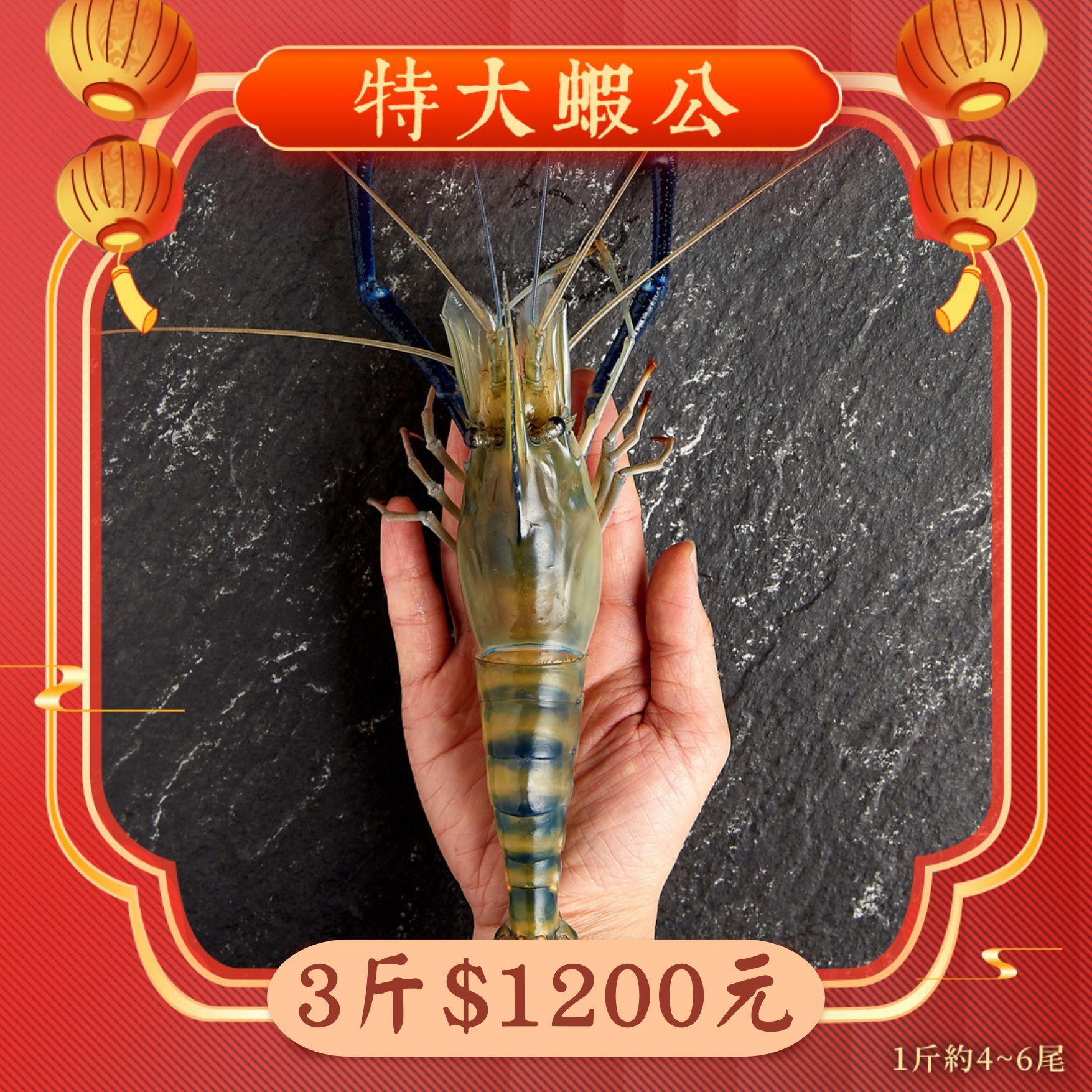 【限量】特大蝦公 3斤1200元 1斤約4~6隻