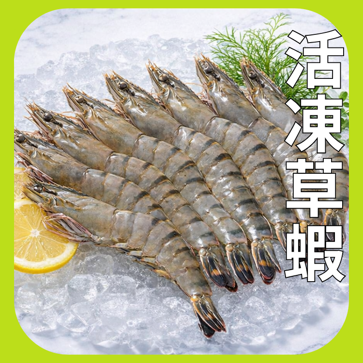 8P活凍草蝦
